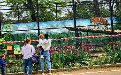 Одесский зоопарк открыл свои двери после карантина