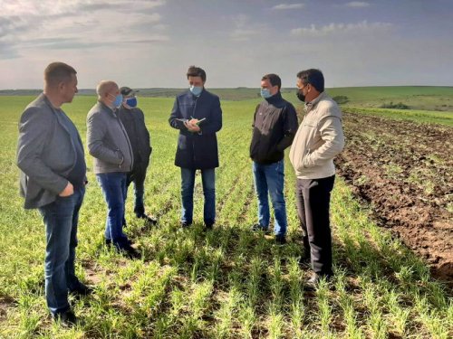 Государство поможет фермерам в Одесской области, которые потеряли урожай из-за засухи