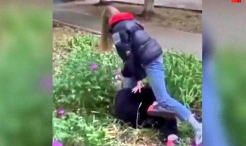 «Давай ее!» — в Черноморске школьницы снимали на видео избиение одноклассницы