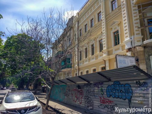 На Коблевской перед новым отелем отравили три дерева