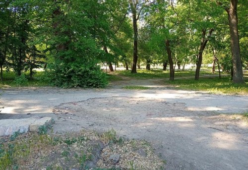 Дюковский парк: почти лес с утками, но очень грязно (фото)