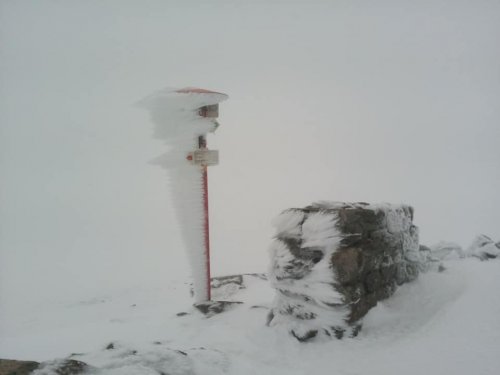 В первый день лета Карпаты засыпало снегом (фото)