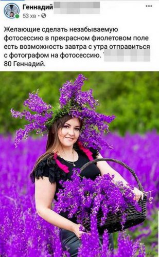 Нашествие людей на фиолетовое поле под Одессой: рвали и вытаптывали цветы (фото)