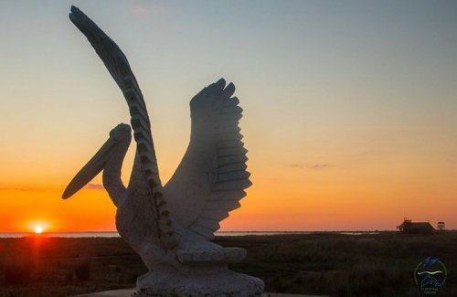 Одессит создал памятник пеликану для Тузловской Амазонии