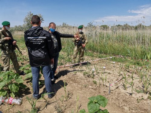 Измаильские пограничники задержали парочку: они шли на смотрины к родне в Украину сквозь камыши