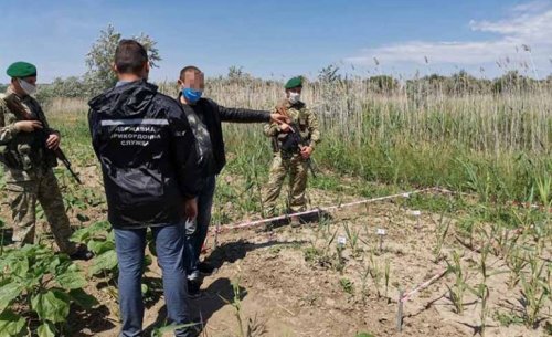 В Болградском районе задержали нарушителей границы, шедших на «смотрины»