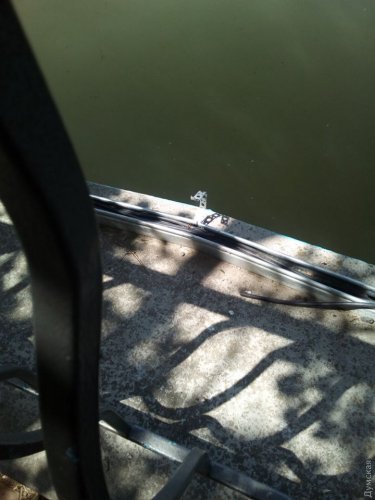 Воры вырвали электропроводку подсветки пруда в парке Победы