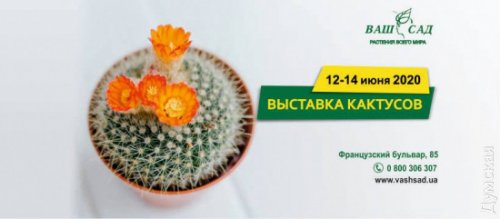 Куда пойти в Одессе: выставка кактусов, «Вий» в онлайне и кино в Зеленом театре