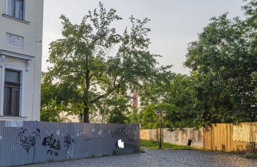 Воронцовский дворец: за забором заросли и разруха (ФОТО)
