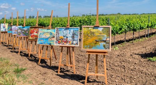 Под Одессой устроили выставку картин в виноградниках (фото)