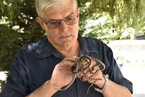 В Одесском зоопарке показали змеиное пополнение