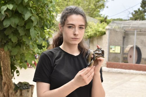 В Одесском зоопарке показали змеиное пополнение