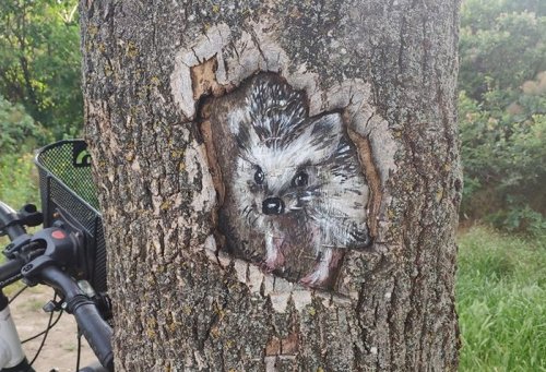 Одесситка нарисовала в парке на дереве милого зверька (фото)