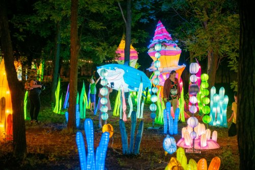 В одесском парке появились 150 светящихся фигур животных и сказочных персонажей (фото)