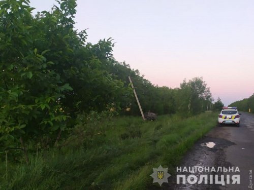 В Одесской области пьяный водитель на «Ниссане» съехал с дороги, врезался в столб и угробил пассажирку