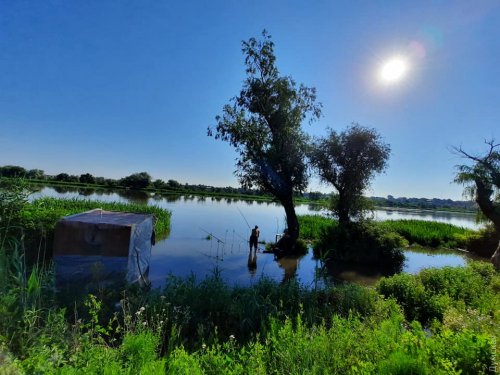 Паводок: уровень воды в реках в Одесской области поднялся еще на 10-15 сантиметров