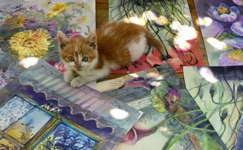Одесская художница дарит картины за котят (фото)