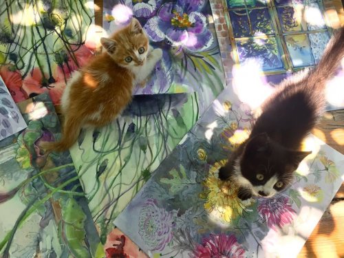 Одесская художница дарит картины за котят (фото)