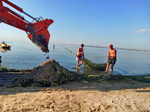 С пляжа «Лузановка» убрали трактором 3 тонны водорослей