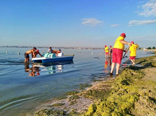 С пляжа «Лузановка» убрали трактором 3 тонны водорослей