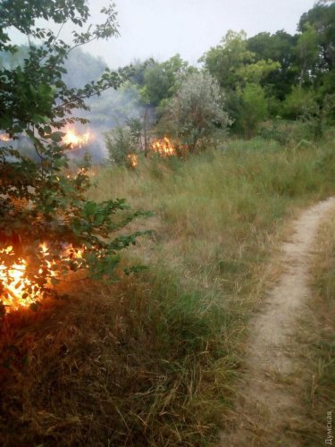 Спасатели ликвидировали возгорание травы на одесских склонах