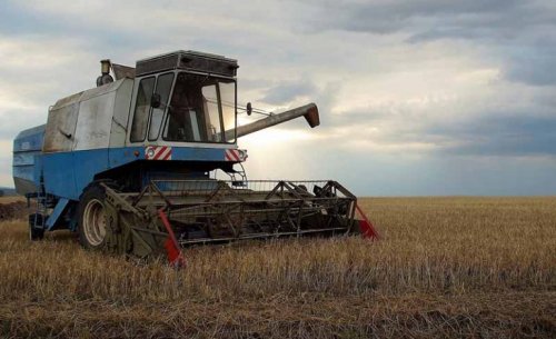 Жатва в Болградском районе: аграрии убирают выжившие ранние зерновые