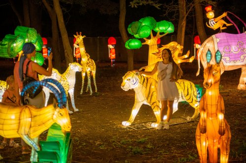 В Одессе на выставке гигантских китайских фонарей устроят бесплатный день для сирот и инвалидов