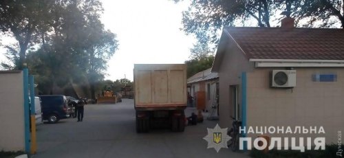 Выбежала под колеса грузовика: в Одесской области погибла шестилетняя девочка