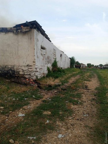 В Одесской области сгорел свинарник: погибло больше 50 животных