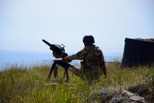 Одесская область: пограничники показали фото с межведомственных учений на о.Змеиный (фото)