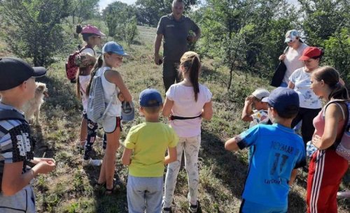 На юге Одесской области дети взялись за спасение муравьев