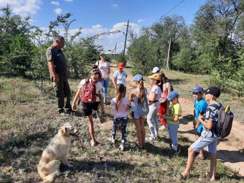 На юге Одесской области дети взялись за спасение муравьев