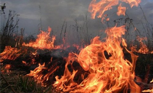 Под Одессой потушили масштабное возгорание сухой травы