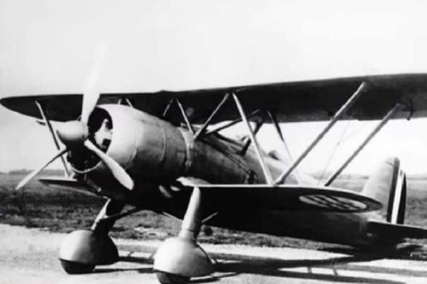 В Карпатах нашли сбитый во время Второй мировой войны итальянский истребитель