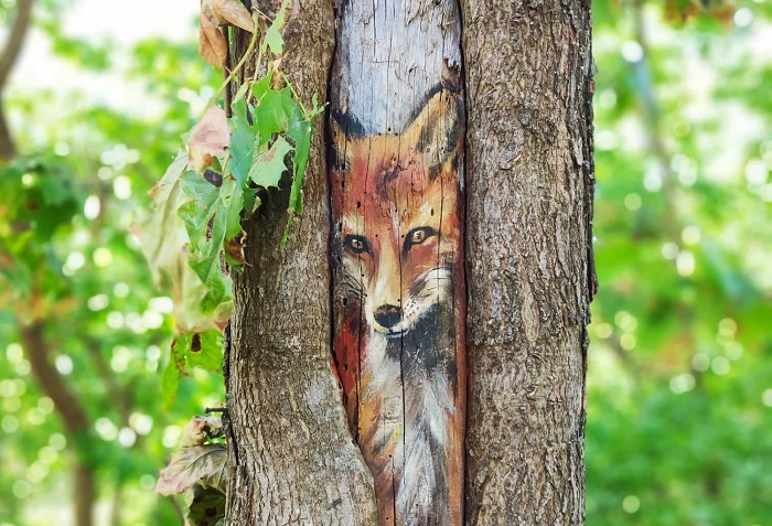Одесситка нарисовала в парке на дереве почти живого волка (фото)