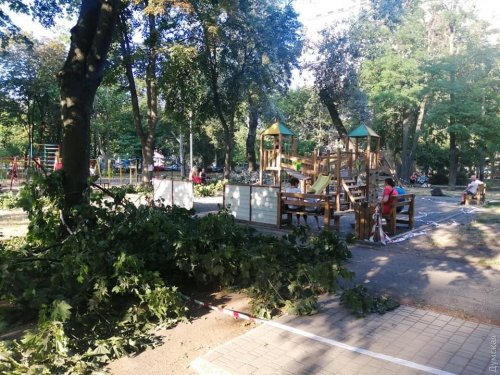 В Одессе начали приводить в порядок сквер возле бывшего кинотеатра «Вымпел»