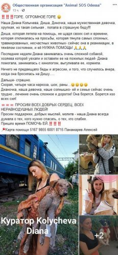 На одесскую зоозащитницу напала собака — она в реанимации