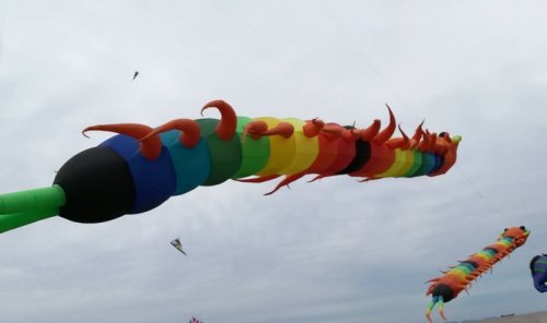 В Одесской области устроили чемпионат воздушных змеев (фото)