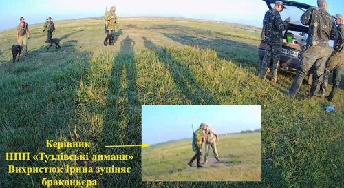 В заповеднике под Одессой охотники стреляли в краснокнижных ибисов