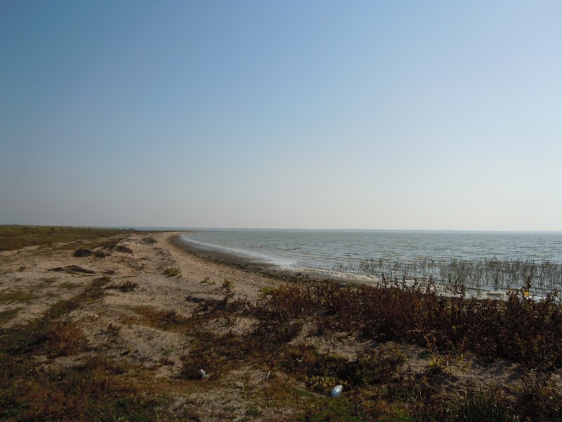 Крупнейшее озеро Одесской области зацвело ядовитыми водорослями