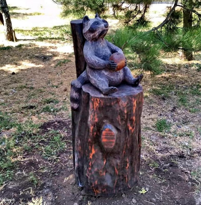 В Одесском зоопарке появился енот из ствола дерева (фото)