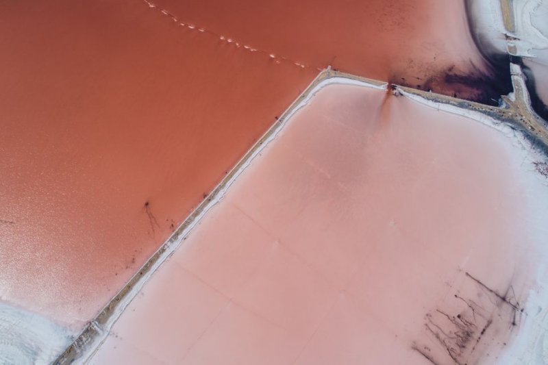 Одесский лиман Куяльник стал розовым (фото)