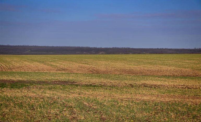 Аграрный сектор Одесской области на грани коллапса из-за засухи, — Антон Киссе
