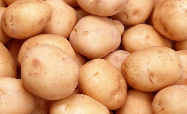 Украина вошла в топ-3 стран-производителей картофеля