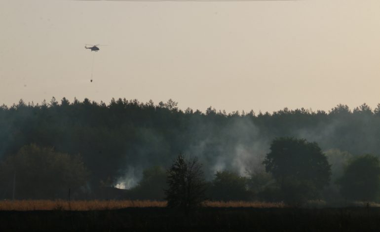 В Харьковской области потушили пожар возле сгоревшего поселка Горобьевка