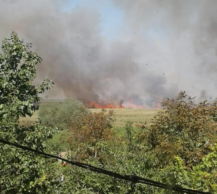 В Белгороде-Днестровском полыхают пожары