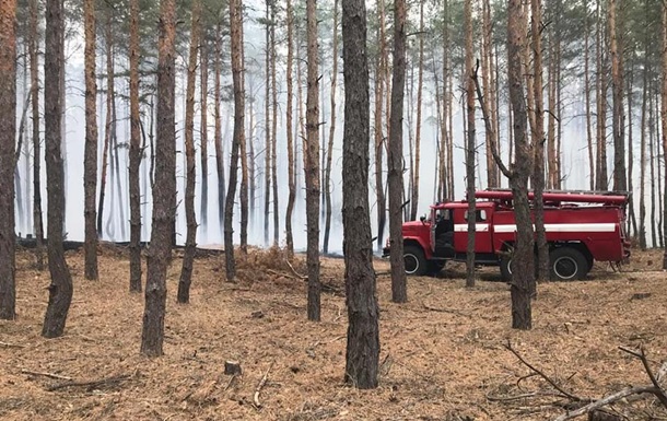 Под Днепром произошел лесной пожар