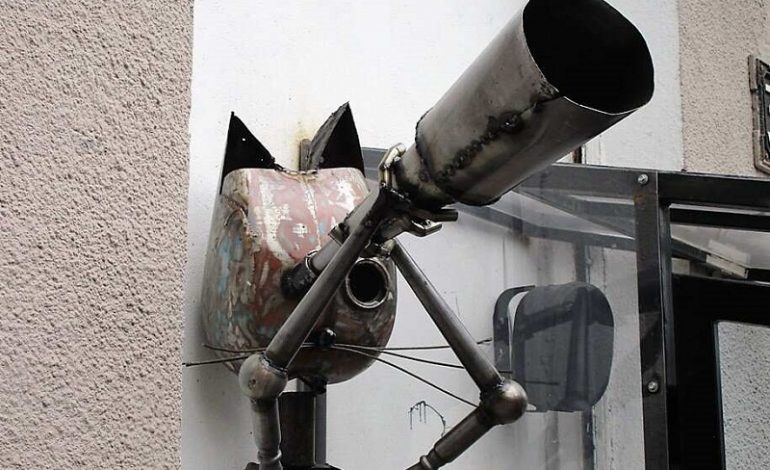 В Одессе появился кот-астроном