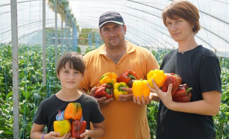 В селе Владычень Болградского района планируется строительство завода по переработке бессарабских овощей