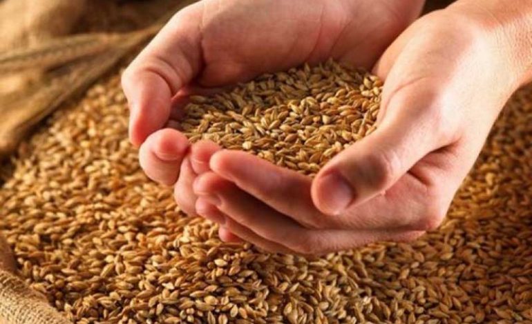 В Украине намолотили почти 52 млн т зерновых